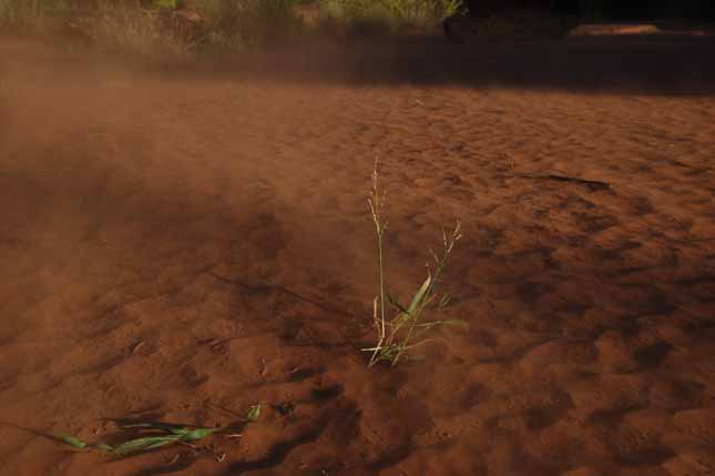 arizona sand